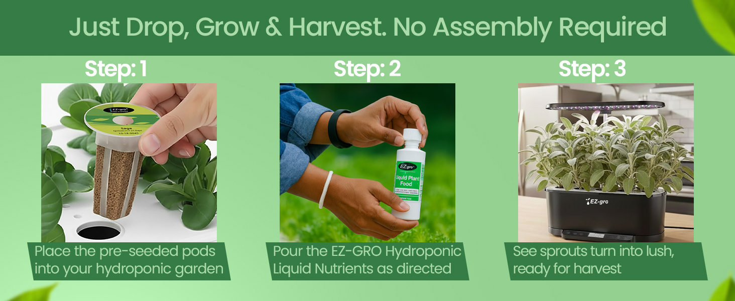 EZ-gro Culinary Sage drop, grow, and harvest pre-seeded 12-pods for easy hydroponic gardening