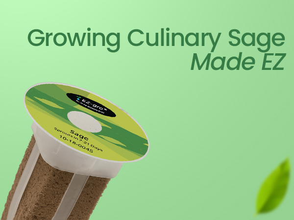 EZ-gro Culinary Sage growing made EZ with no-assembly pre-seeded hydroponic 3-pods