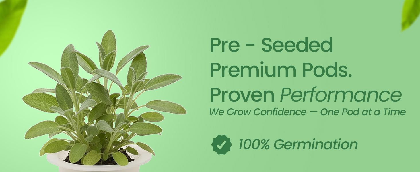 EZ-gro Culinary Sage premium pre-seeded 3-pods made with Oasis® sponge growing media