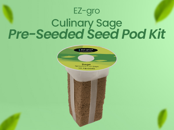 EZ-gro Culinary Sage pre-seeded 3-pod kit made with Oasis® substrates for hydroponic growing systems