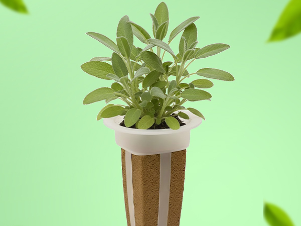 EZ-gro Culinary Sage simple and sustainable gardening with GMO-free pre-seeded 12-pods