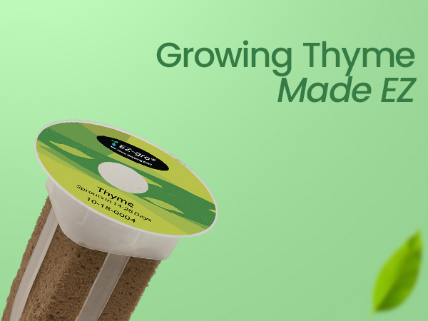 EZ-gro Culinary Thyme 3-pod hydroponic growing made easy for home gardeners
