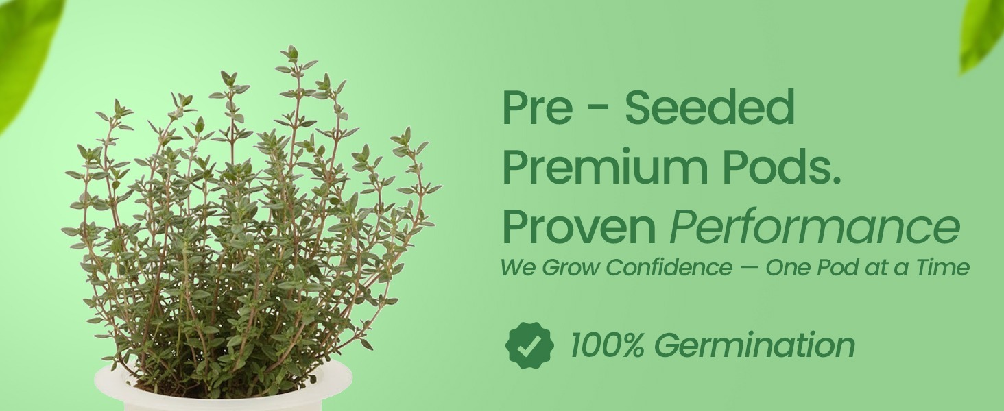 EZ-gro Culinary Thyme pre-seeded premium hydroponic 6-pods made with OASIS grow sponges