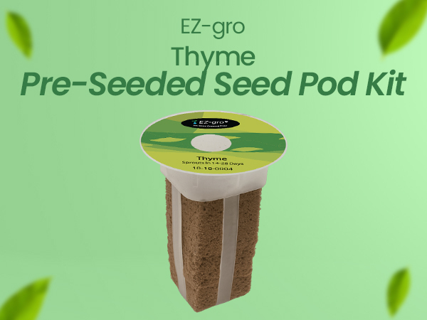 EZ-gro Culinary Thyme pre-seeded hydroponic seed 3-pod kit with OASIS substrate for indoor growing