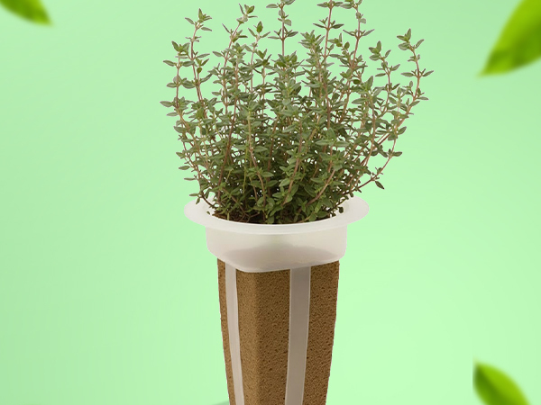 Simple sustainable indoor herb gardening with EZ-gro Culinary Thyme hydroponic 3-pods