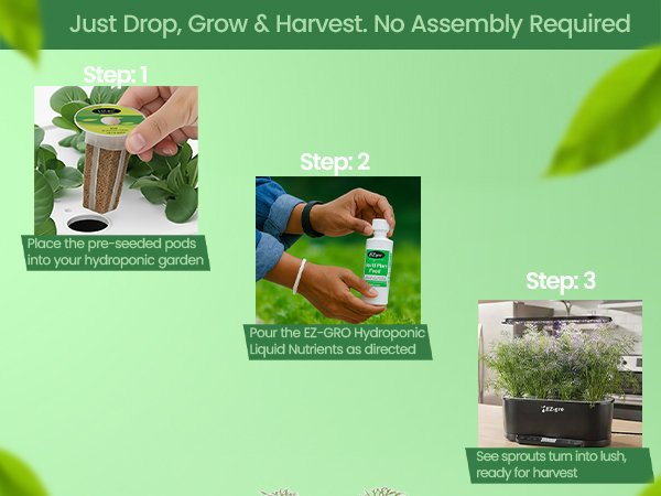 EZ-gro dwarf dill seed 3-pods showing drop, grow, and harvest hydroponic process