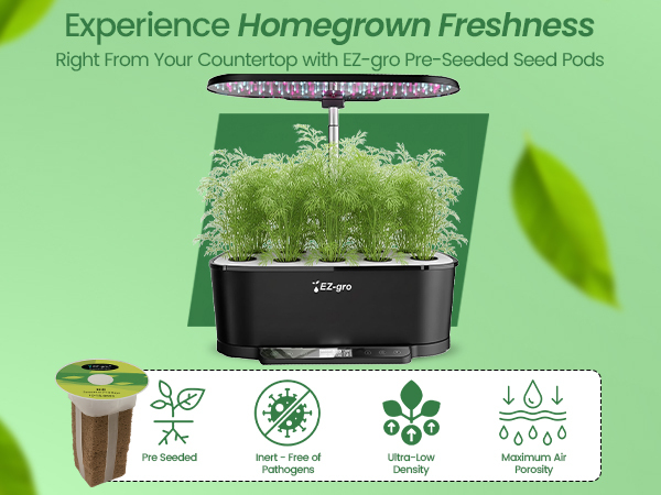 Fresh homegrown dwarf dill harvested from EZ-gro hydroponic seed 3-pod system