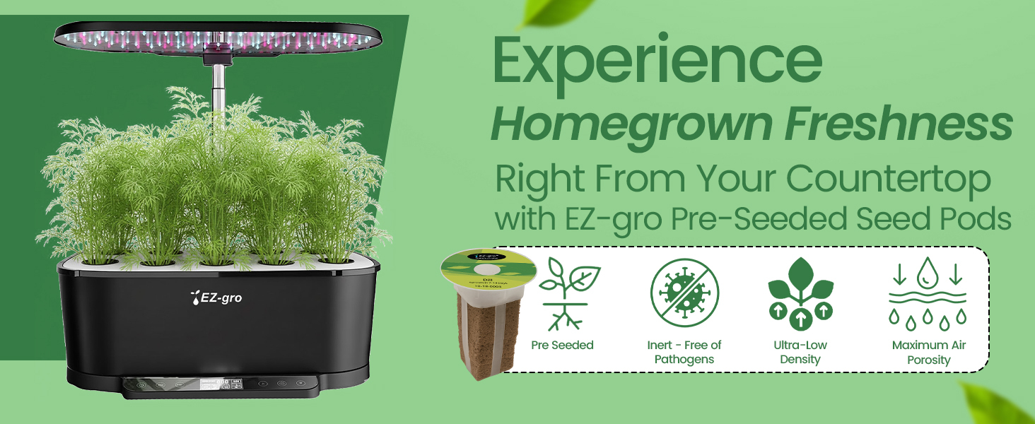 Fresh homegrown dwarf dill harvested from EZ-gro hydroponic seed 3-pod system