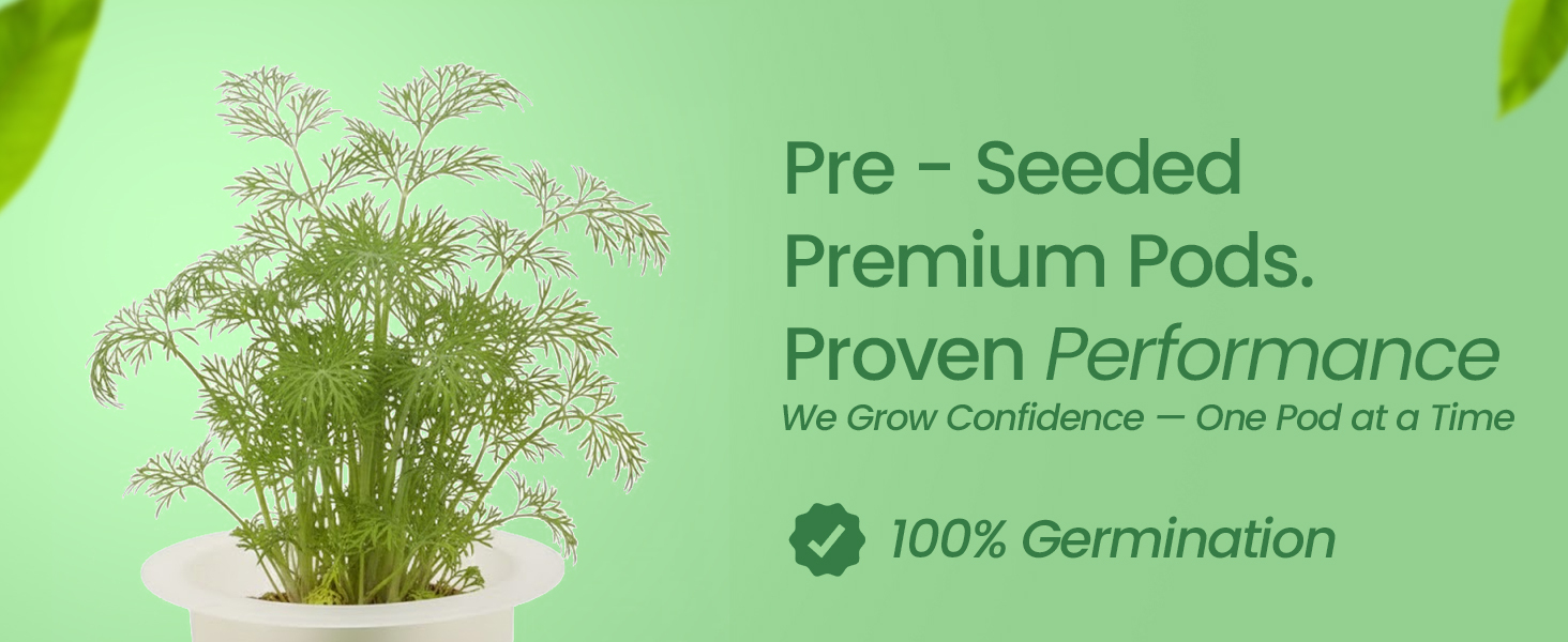 Premium pre-seeded dwarf dill 3-pods with Oasis® substrate for hydroponic growing