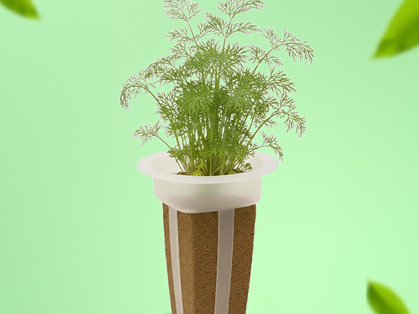 Simple and sustainable indoor gardening with EZ-gro dwarf dill hydroponic 3-pods
