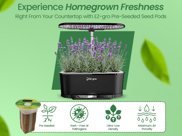 Fresh homegrown Lavender plants grown indoors using EZ-gro hydroponic 3-pods