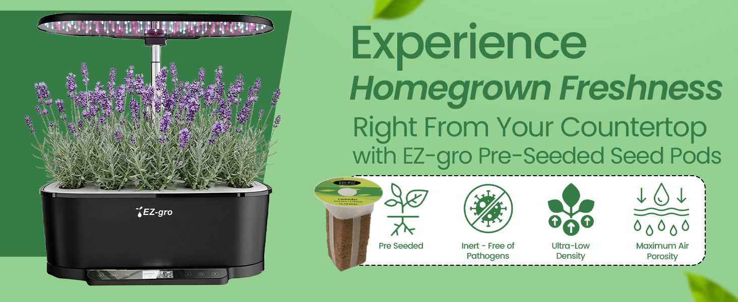Fresh homegrown Lavender plants grown indoors using EZ-gro hydroponic 6-pods