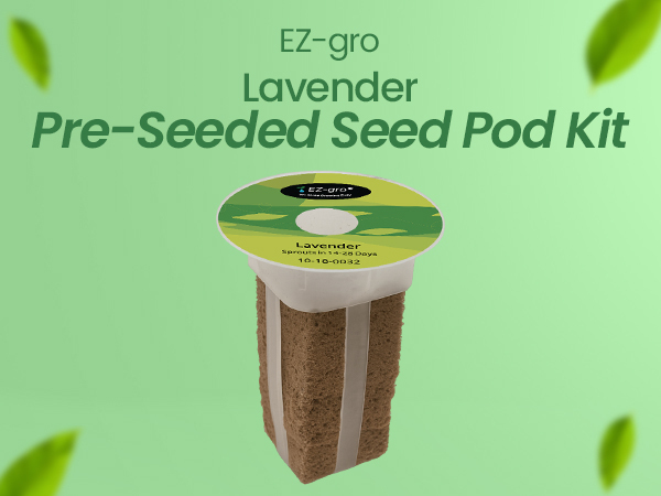 EZ-gro Elegant Lavender pre-seeded hydroponic seed 6-pod kit with OASIS substrate for indoor growing