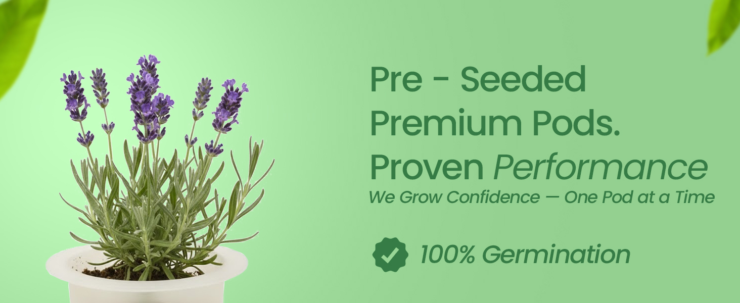 EZ-gro Elegant Lavender pre-seeded premium hydroponic 3-pods made with OASIS grow sponges