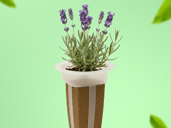 Simple sustainable indoor flower gardening with EZ-gro Elegant Lavender hydroponic 6-pods