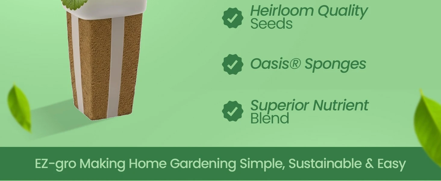 Simple sustainable indoor gardening with EZ-gro Alexandria strawberry hydroponic 3-pods