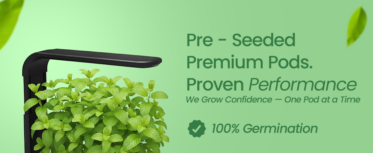Premium pre-seeded Fresh Tea 6-pods with Oasis® substrate for hydroponic growing