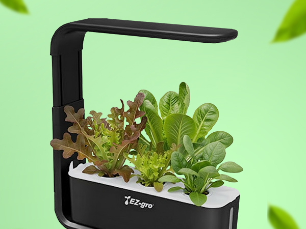 Simple and sustainable hydroponic gardening with EZ-gro Heirloom Salad Green seed 9-pods