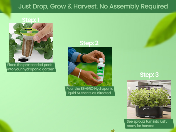 EZ-gro Italian oregano hydroponic 6-pods showing drop, grow, and harvest stages indoors