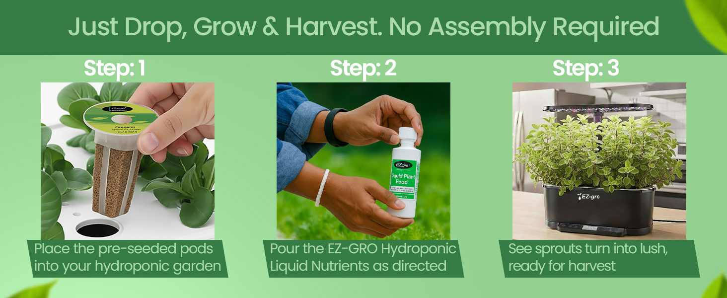 EZ-gro Italian oregano hydroponic 3-pods showing drop, grow, and harvest stages indoors