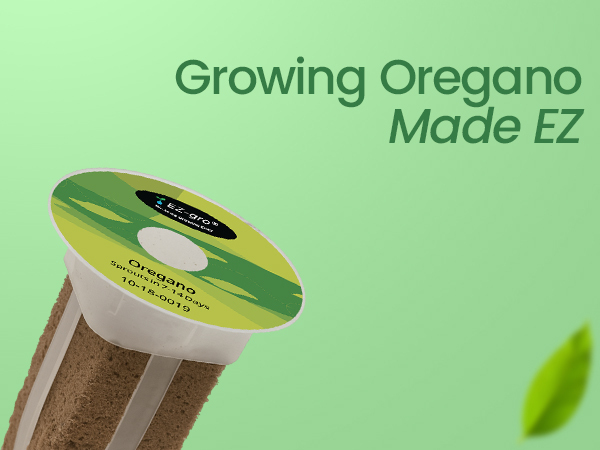 Growing Italian oregano made easy with EZ-gro pre-seeded hydroponic 6-pod kit