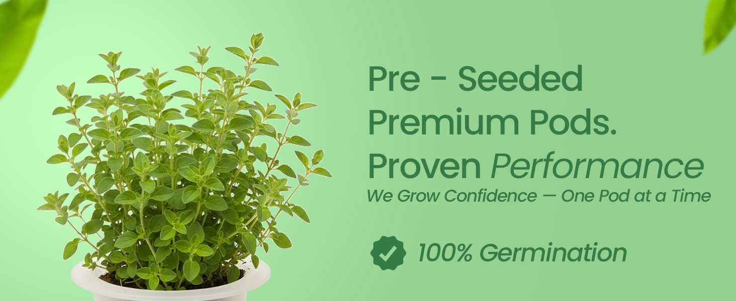 Premium pre-seeded Italian oregano 6-pods with Oasis grow sponges for hydroponic systems