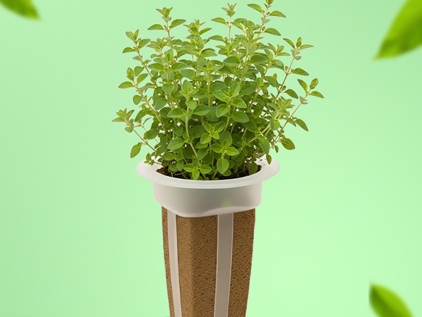 Simple sustainable indoor gardening with EZ-gro Italian oregano hydroponic seed 6-pods
