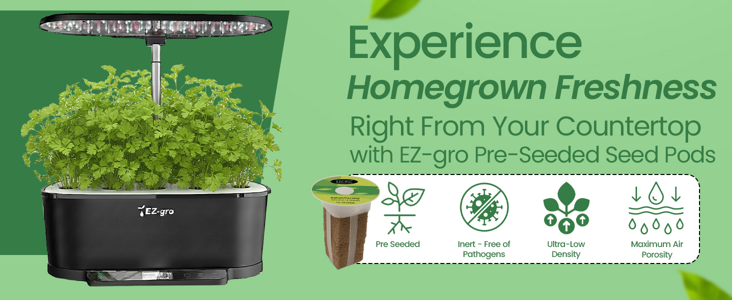 Fresh homegrown Italian flat leaf parsley grown indoors using EZ-gro hydroponic 3-pods