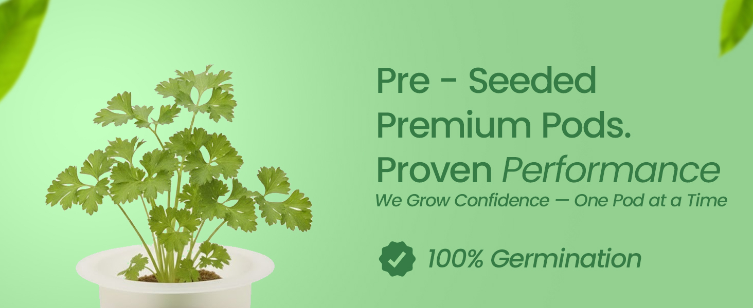 EZ-gro Italian parsley pre-seeded premium hydroponic 3-pods made with Oasis grow sponges