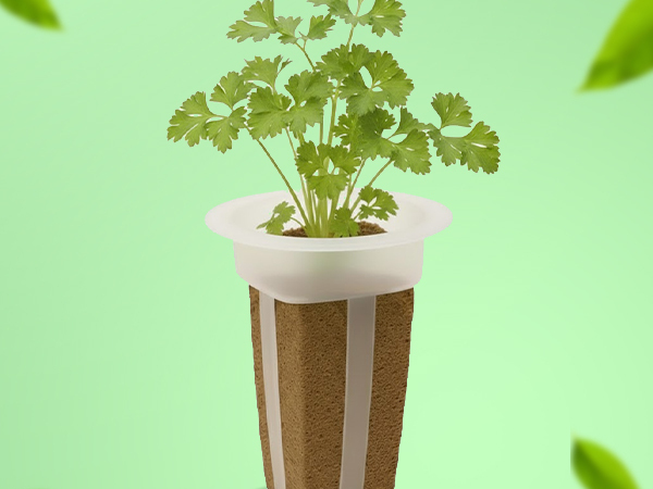 Simple sustainable indoor herb gardening with EZ-gro Italian parsley hydroponic 3-pods