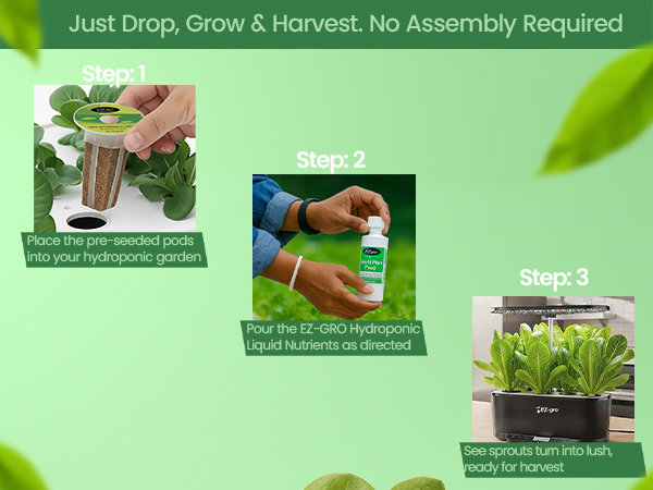 EZ-gro Little Gem Romaine Lettuce 3-pods showing easy drop, grow, and harvest hydroponic gardening