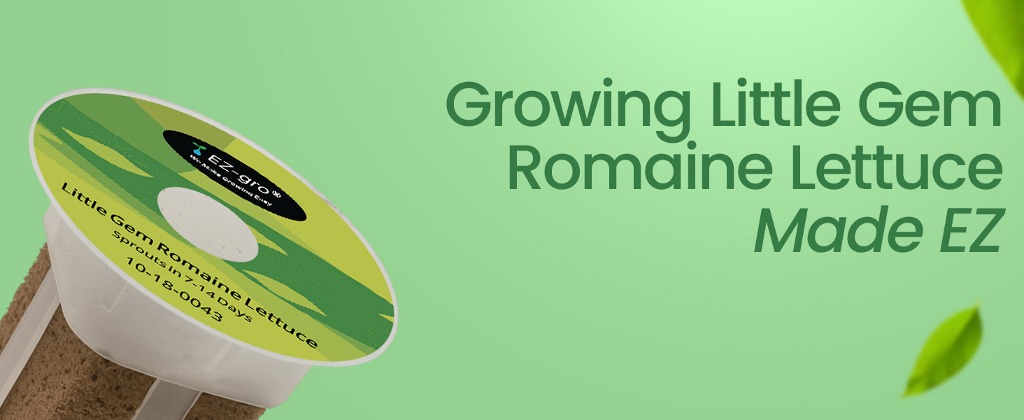Growing made EZ with EZ-gro Little Gem Romaine Lettuce 6-pod pre-seeded kit for hydroponic systems