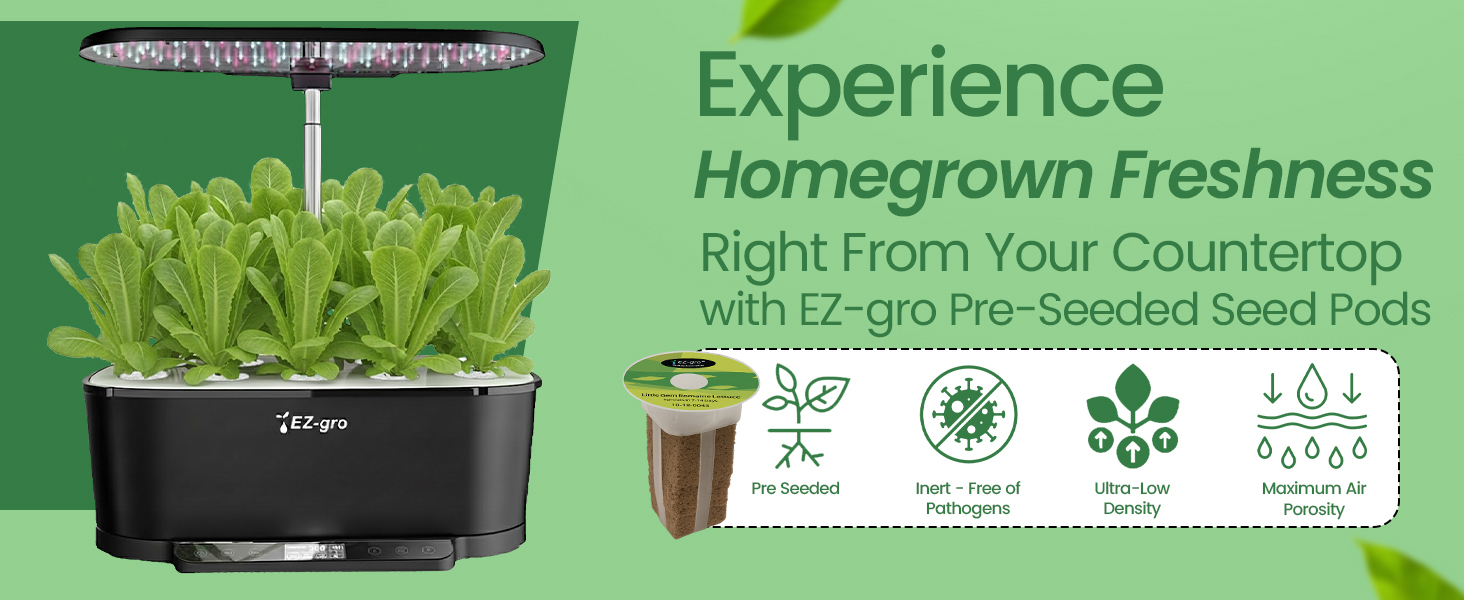 Homegrown Little Gem romaine lettuce 3-pods growing fresh in a soil-free EZ-gro hydroponic garden