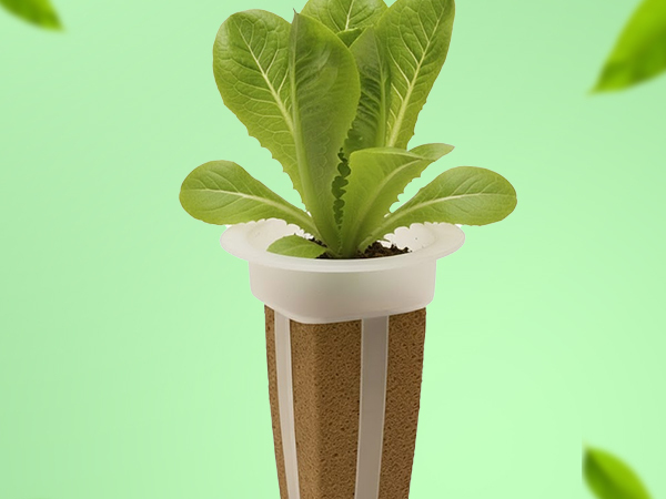 Simple and sustainable hydroponic gardening with EZ-gro Little Gem Romaine Lettuce seed 6-pods