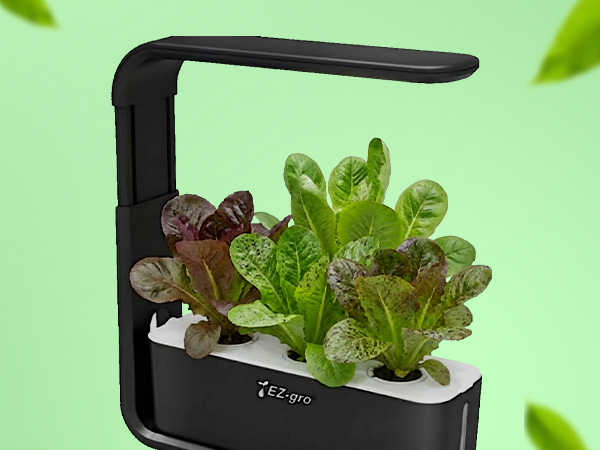 Simple sustainable indoor lettuce gardening with EZ-gro Mini Mix Romaine hydroponic 3-pods