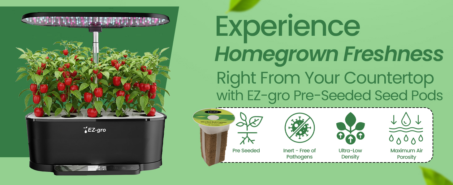 Homegrown mini red bell peppers 3-pod growing fresh in a soil-free EZ-gro water garden system