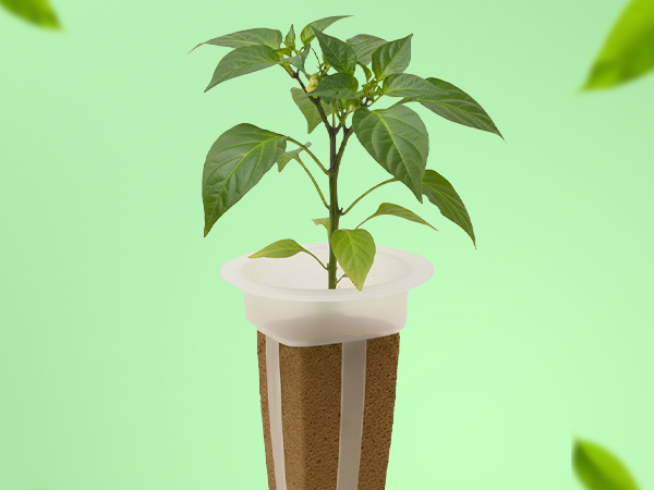 Simple and sustainable water gardening with EZ-gro Mini Red Bell Pepper 6-pod seed kit