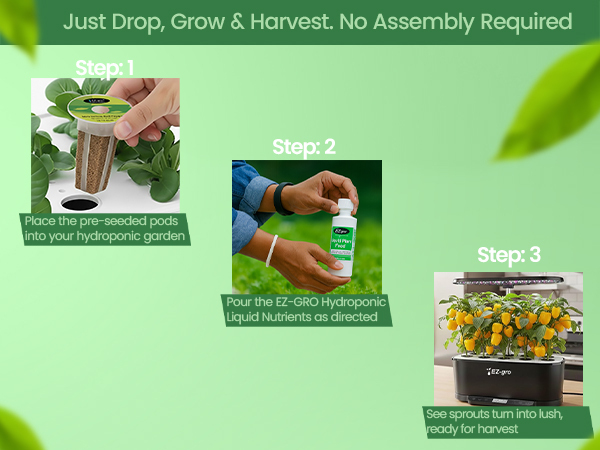 EZ-gro Mini Yellow Bell Pepper drop, grow, and harvest pre-seeded 3-pods for easy hydroponics
