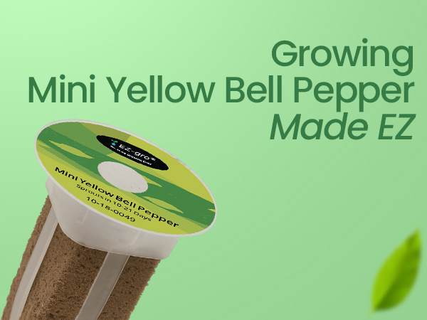 EZ-gro Mini Yellow Bell Pepper growing made EZ with no-assembly pre-seeded hydroponic 9-pods