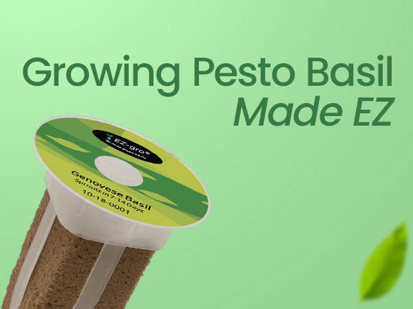 Growing made EZ with EZ-gro Pesto Basil 9-pod pre-seeded kit for hydroponic systems
