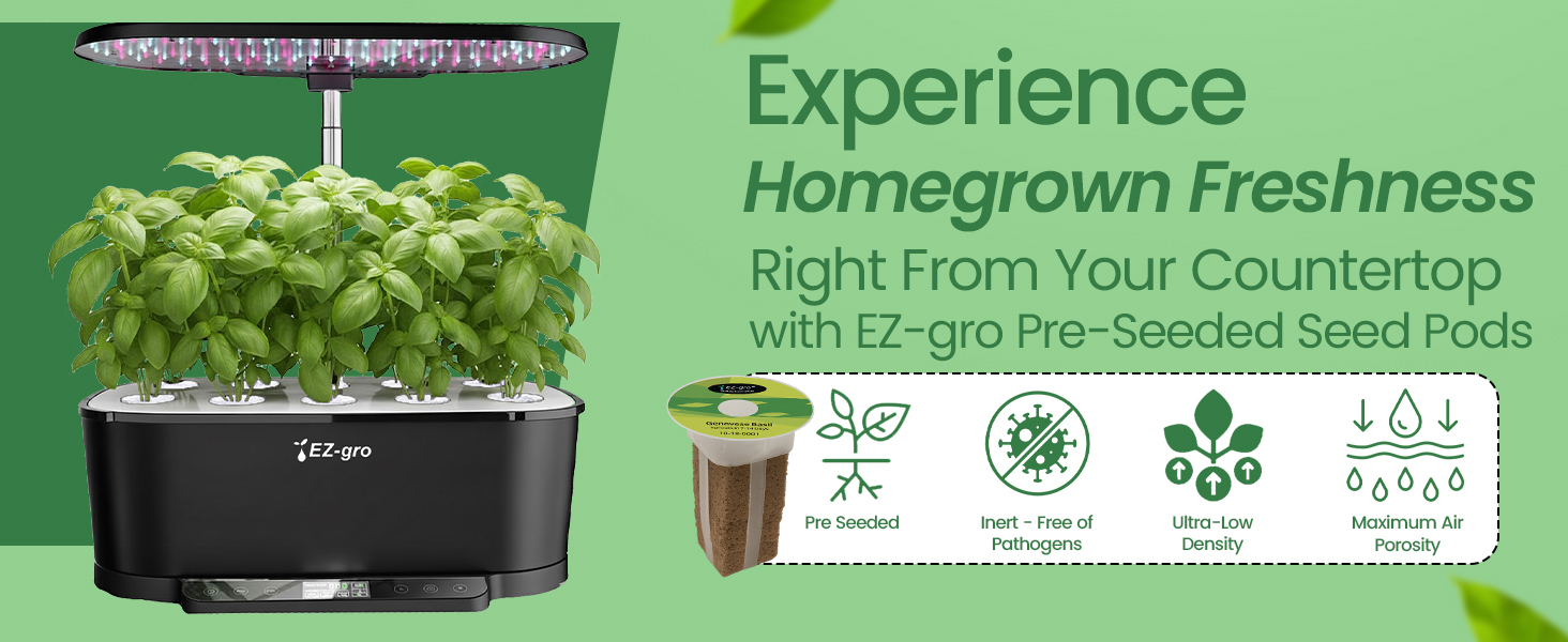 Homegrown Genovese pesto basil 3-pods growing fresh in a soil-free EZ-gro hydroponic garden