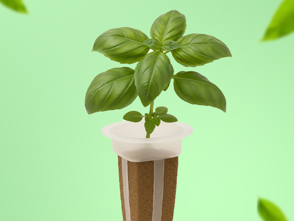 Simple and sustainable hydroponic gardening with EZ-gro Pesto Basil seed 9-pods