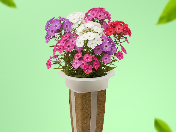 EZ-gro Phlox Mix pre-seeded flower seed 12-pods kit for hydroponic growing systems