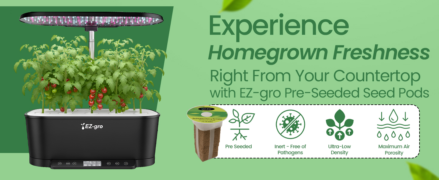 Homegrown Red Robin cherry tomatoes 3-pod growing fresh in a soil-free EZ-gro hydroponic system
