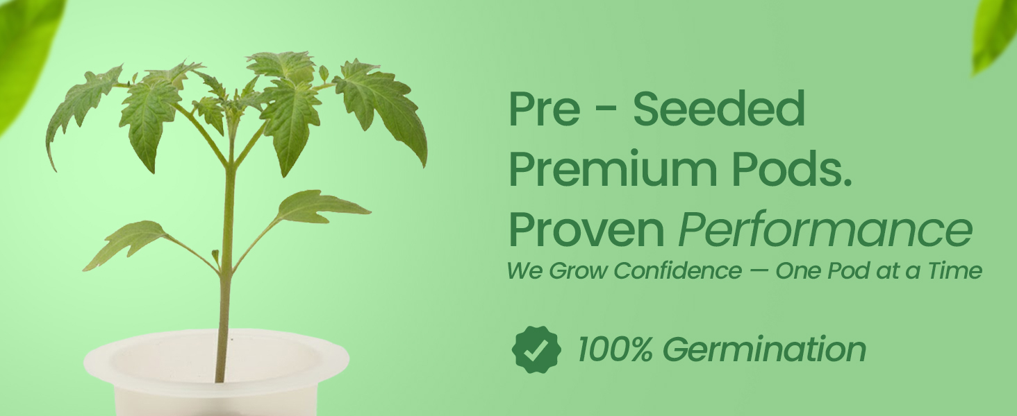 Premium EZ-gro Red Robin Cherry Tomato pre-seeded 3-pods with Oasis® substrates for strong roots