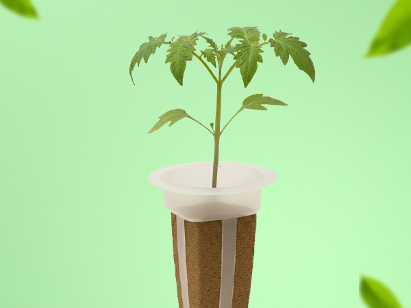 Simple and sustainable hydroponic gardening with EZ-gro Red Robin Cherry Tomato seed 3-pods