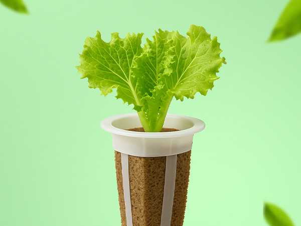 EZ-gro Salad Green mix 9-pods hydroponic kit with a promise of growing success