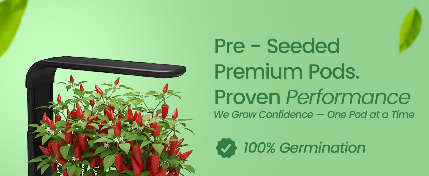 Premium pre-seeded spicy chili pepper 6-pods with Oasis® substrate for hydroponics