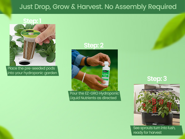 EZ-gro Tiny Tim Dwarf Tomato drop, grow, and harvest pre-seeded 6-pods for easy hydroponic gardening