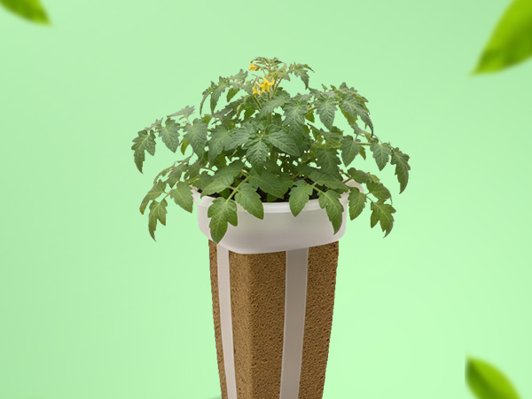 EZ-gro Tiny Tim Dwarf Tomato simple and sustainable gardening with GMO-free pre-seeded 6-pods